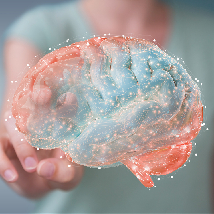Alzheimer: machine learning per individuarne predisposizioni genetiche